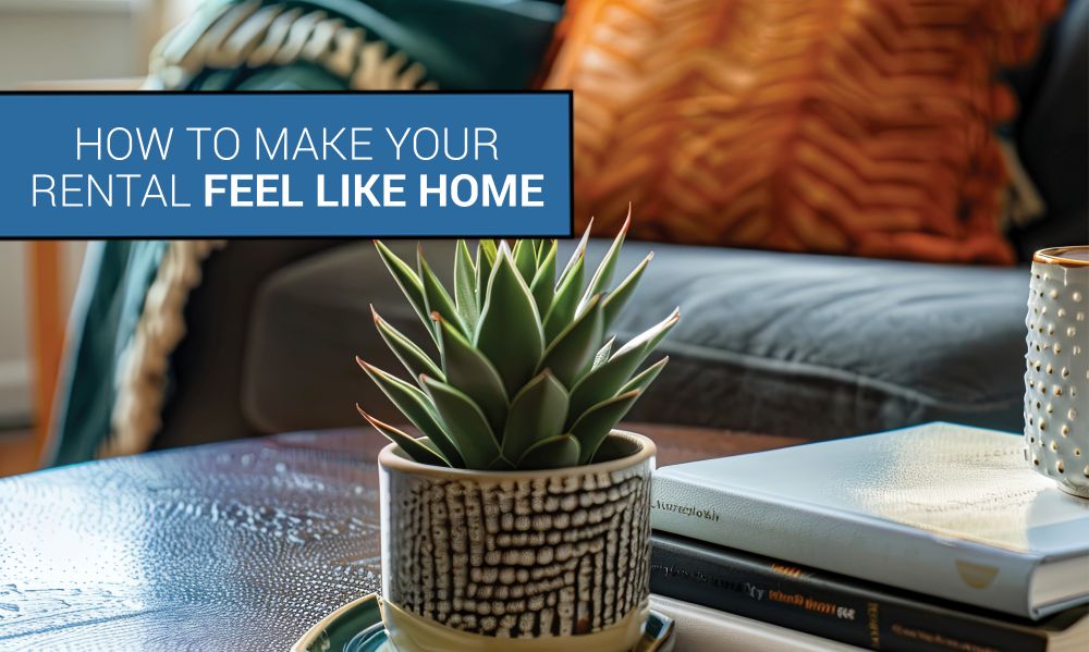 How to Make Your Rental Feel Like Home